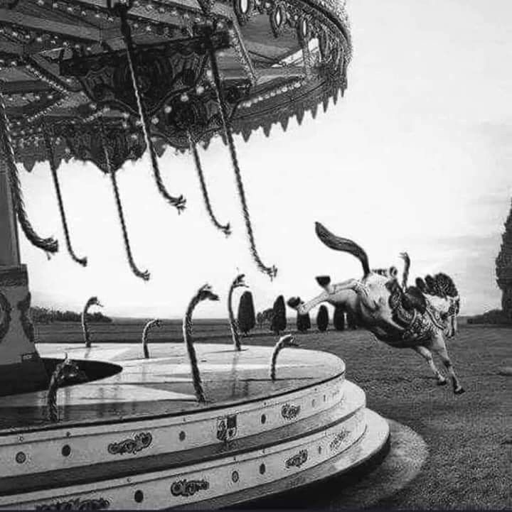 I Thought Freedom Meant Endless Options. I Was So&nbsp;Wrong.